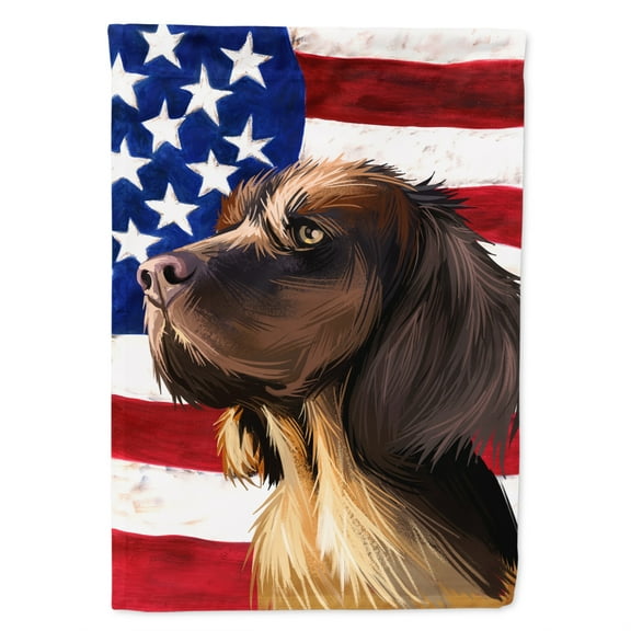 Carolines Treasures CK6645CHF Picardy Spaniel Dog American Canvas House Size Outdoor-Flags, Multicolor