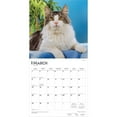 thumbnail image 3 of Maine Coon Cats | 2026 12x24" (Hanging) Wall Calendar | Plastic-Free | BrownTrout, 3 of 9
