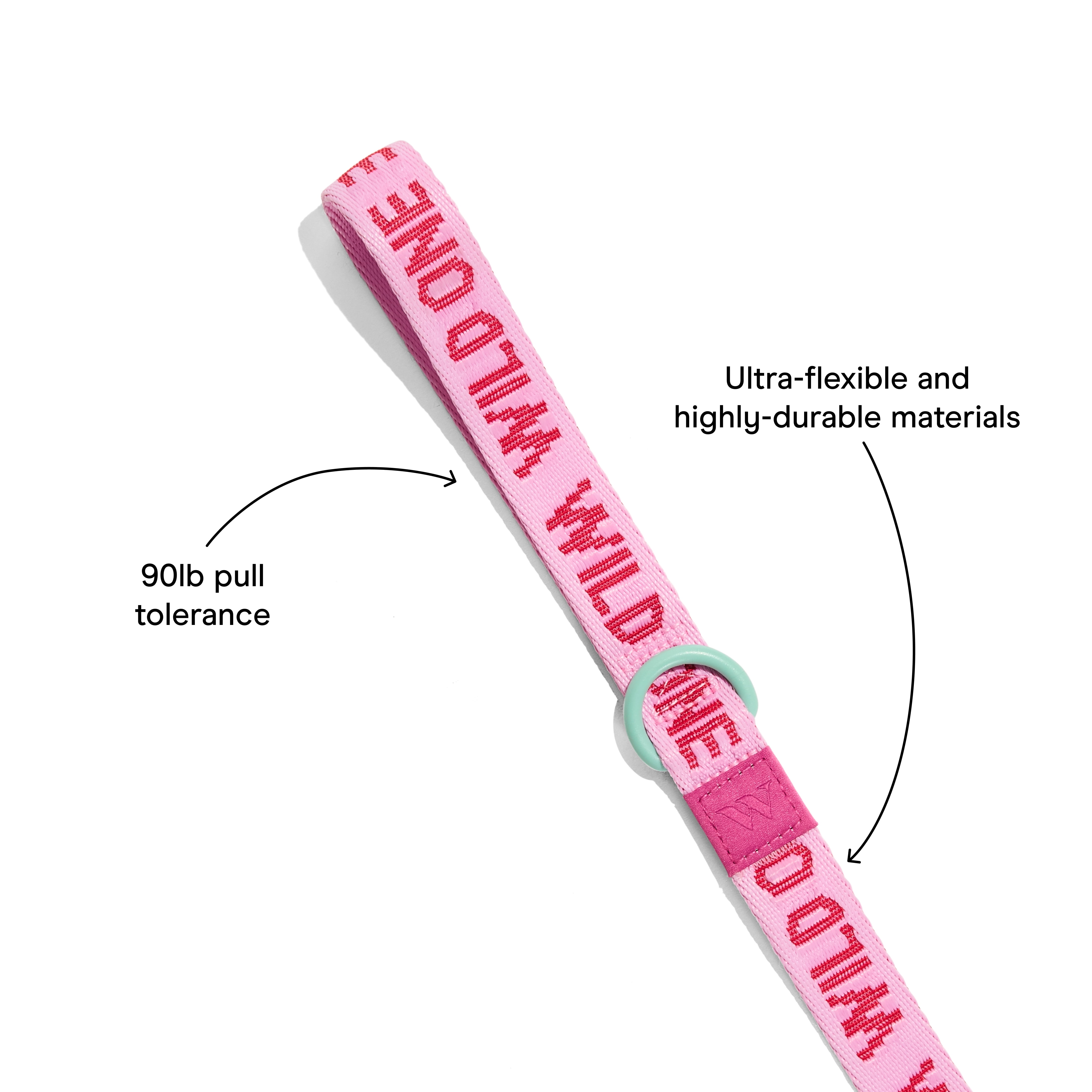 Wild One 6ft Heavy Duty Lightweight Nylon Dog Leash, Bubblegum Pink Colorblock