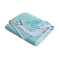 thumbnail image 2 of Home Textile Products Summer Ice & Mugwort Air Conditioning Quilt | Ice Themed Lightweight Summer Blanket | Machine Washable | Single & Double Sizes, 2 of 9