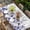 Purple, variant on Green Blooms Floral Table Cloths for 3 Foot Rectangle Tables, Farmhouse Spring Flowers Botanical Patio Waterproof Elastic Fitted Tablecloths, Washable Rectangular Table Cover for Camping