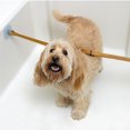 thumbnail image 4 of Greeniant 2 piezas correas de baño para mascotas correa para mascotas baño para perros belleza cuerda fija bañera ventosa cuerda fija Suministros para perros Greeniant PT0313-00, 4 of 6