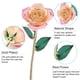 thumbnail image 5 of Rosa blanca de 24 quilates, regalo de oro, rosa eterna de tallo largo, rosa sumergida, regalo artesanal., 5 of 11