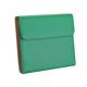thumbnail image 1 of Bolsa compacta y práctica de PU para tijeras de peluquero, almacenamiento personal, organizador desmontable de moda para uso en salón, peluquería y cuidado personal. Verde, 1 of 9