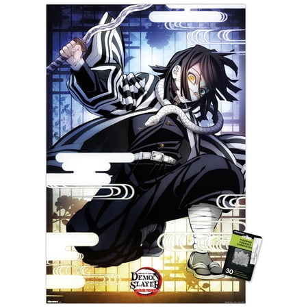 Demon Slayer: Hashira Training - Obanai Wall Poster with Pushpins, 22.375" x 34"
