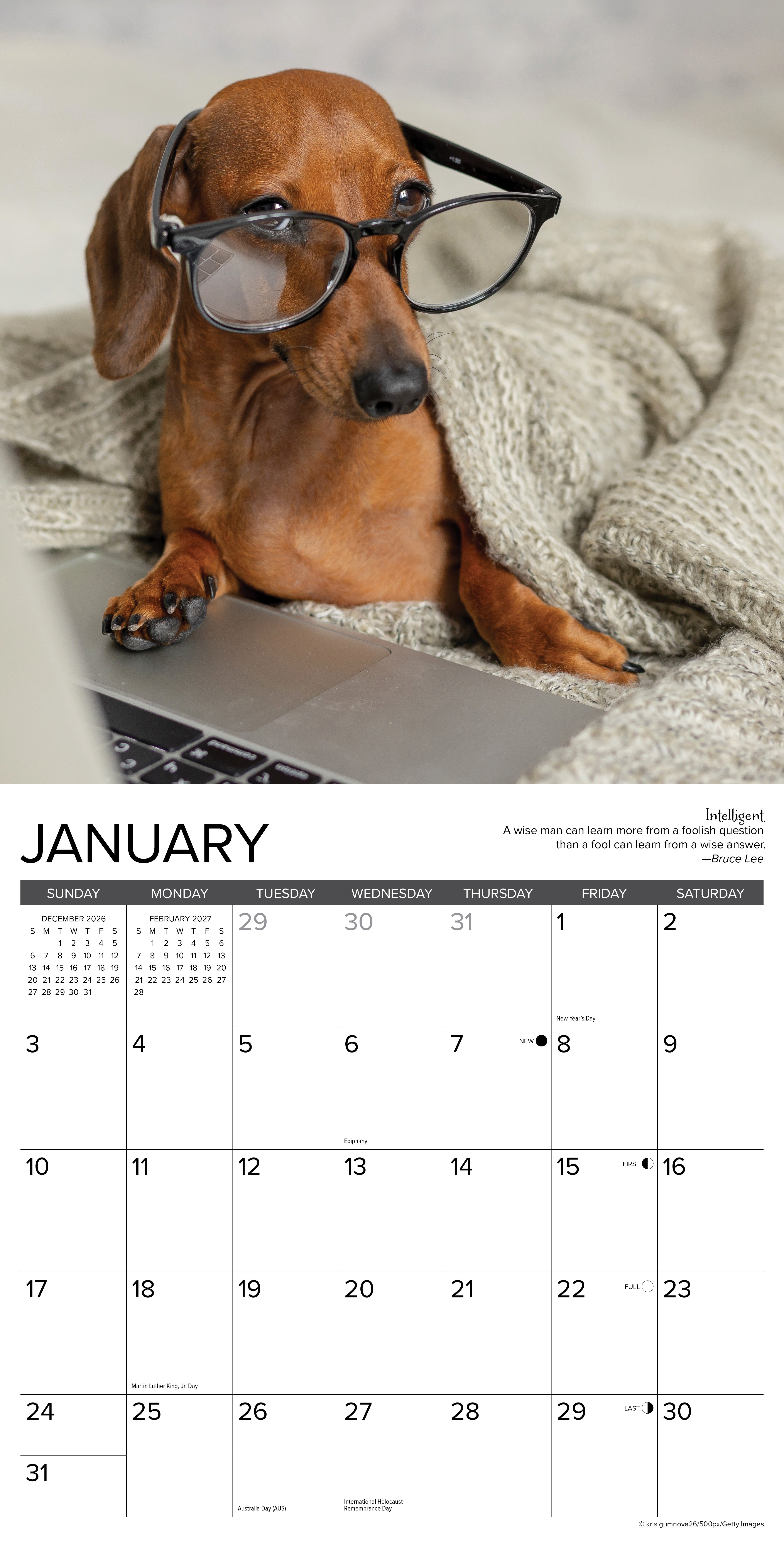 Willow Creek Press, Dachshund Rules 2027 Wall Calendar