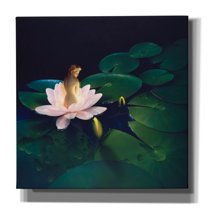 Epic Graffiti 'Waterlilies' by Kirk Reinert, Canvas Wall Art, 26"x26"