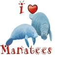 thumbnail image 3 of CafePress - I Love Manatees Women's Light Pajamas - Women's Short Sleeve Print T-Shirt and Pants Light Cotton Pajama Set, 3 of 7