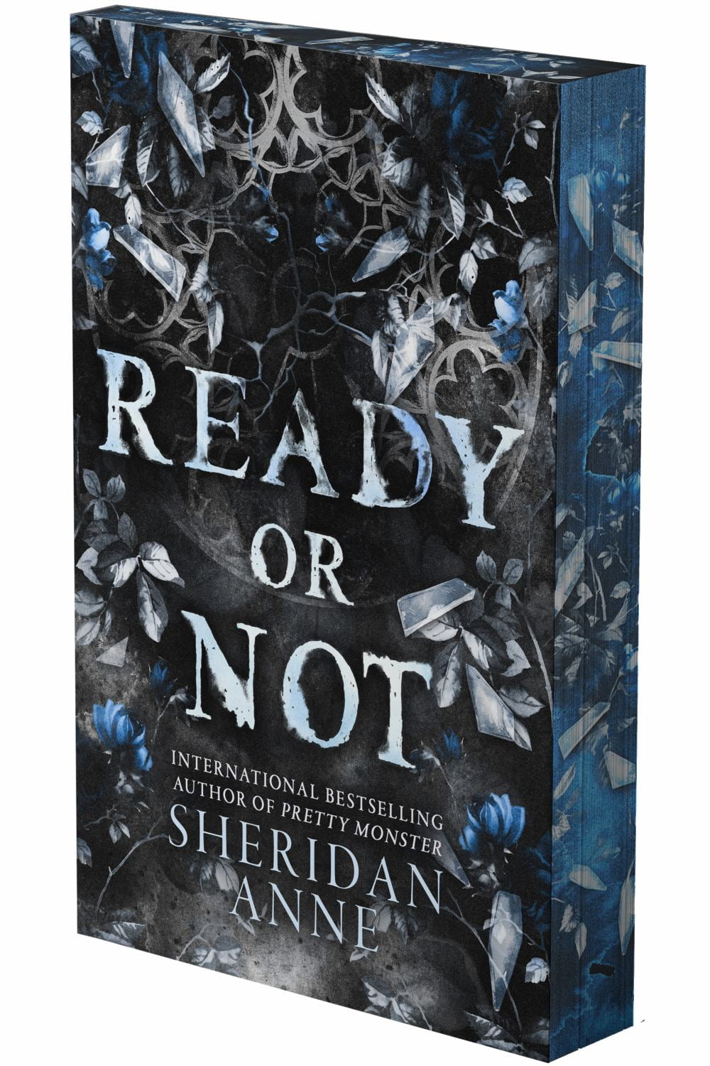 Ready or Not: A Dark Stalker Romance (Deluxe Limited Edition) (Paperback)