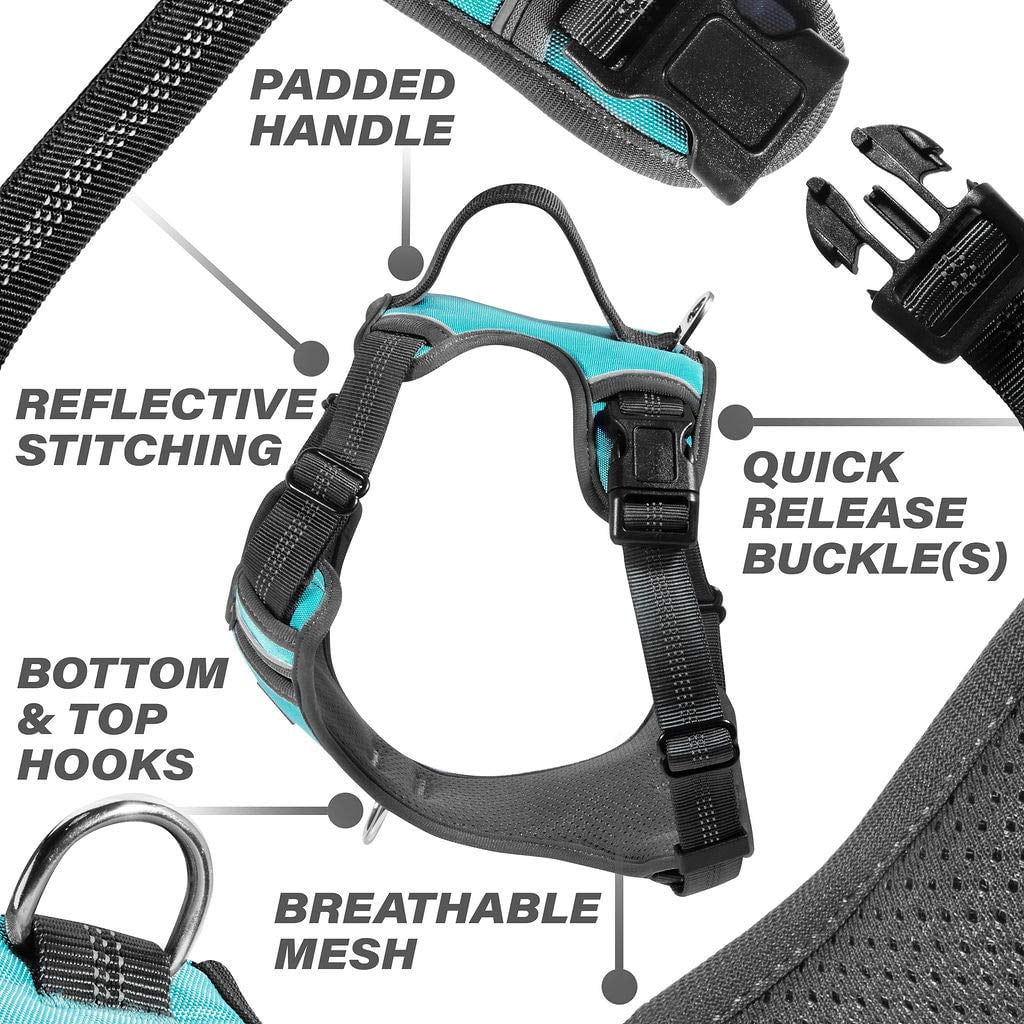 The Comfort Dog Harness With Mesh Padded Vest Aqua- Large Breeds