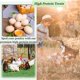 thumbnail image 3 of Alimento seco para pollos con larvas de mosca Black Soldier de 4,54 kg con alto contenido de calcio, 3 of 6