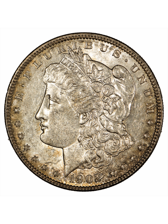 US Mint 1902 Morgan Silver Dollar Coin $1 Raw