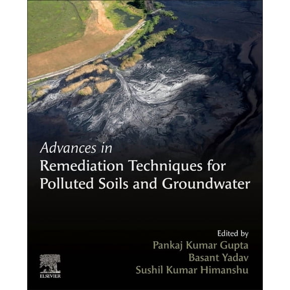 Advances in Remediation Techniques for Polluted Soils and Groundwater, (Paperback)