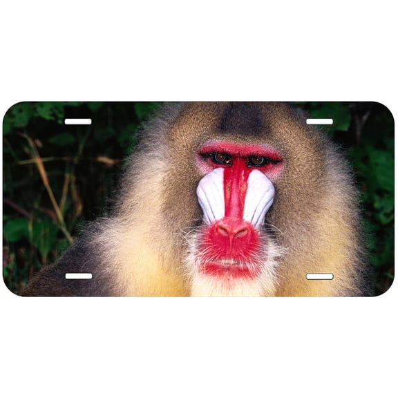 Monkey TAG19 Novelty Car Auto License Plate