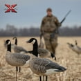 thumbnail image 6 of Avian X AXF Lessers Flocked Full Body Goose Hunting Decoys, 12 Pack, 6 of 12