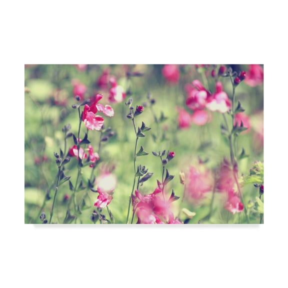 Trademark Fine Art 'Pink Flowers Stems' Canvas Art by Incredi