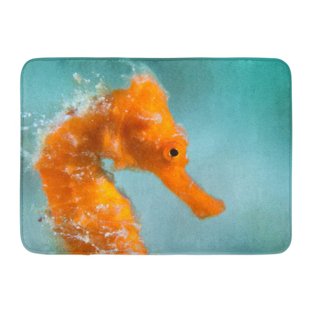 SIDONKU Blue Coral Orange Seahorse Macro Sea Beautiful Caribbean