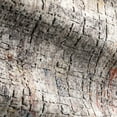 thumbnail image 4 of Loloi Medusa Graphite / Coucher de Soleil - 6' x 8'-8", 4 of 4