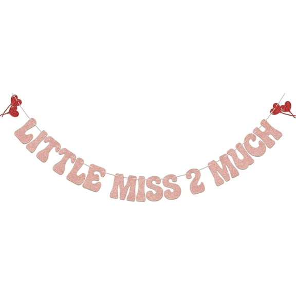 Little Miss 2 Much Banner,Happy 2nd Birthday Party Decor,Two Much Fun,Miss Two Cute,Balloon Baby Girl 2 Years Old Birthday Baby Shower Party Decor Supplies Rose Gold