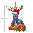 thumbnail image 3 of Interior Decoration Pendant Dog Acrylic Plane Pendant Household Holiday Decoration Tag/ Christmas Decoration Pendant A, 3 of 3