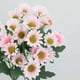 thumbnail image 2 of 5 BUNDLES Mumas Artificiales Flores Margarita Falsa para La Boda en El () Rosa, 2 of 9