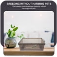 thumbnail image 3 of OULII Reptile Cages Hatching Container Plastic 1Pcs, 3 of 8