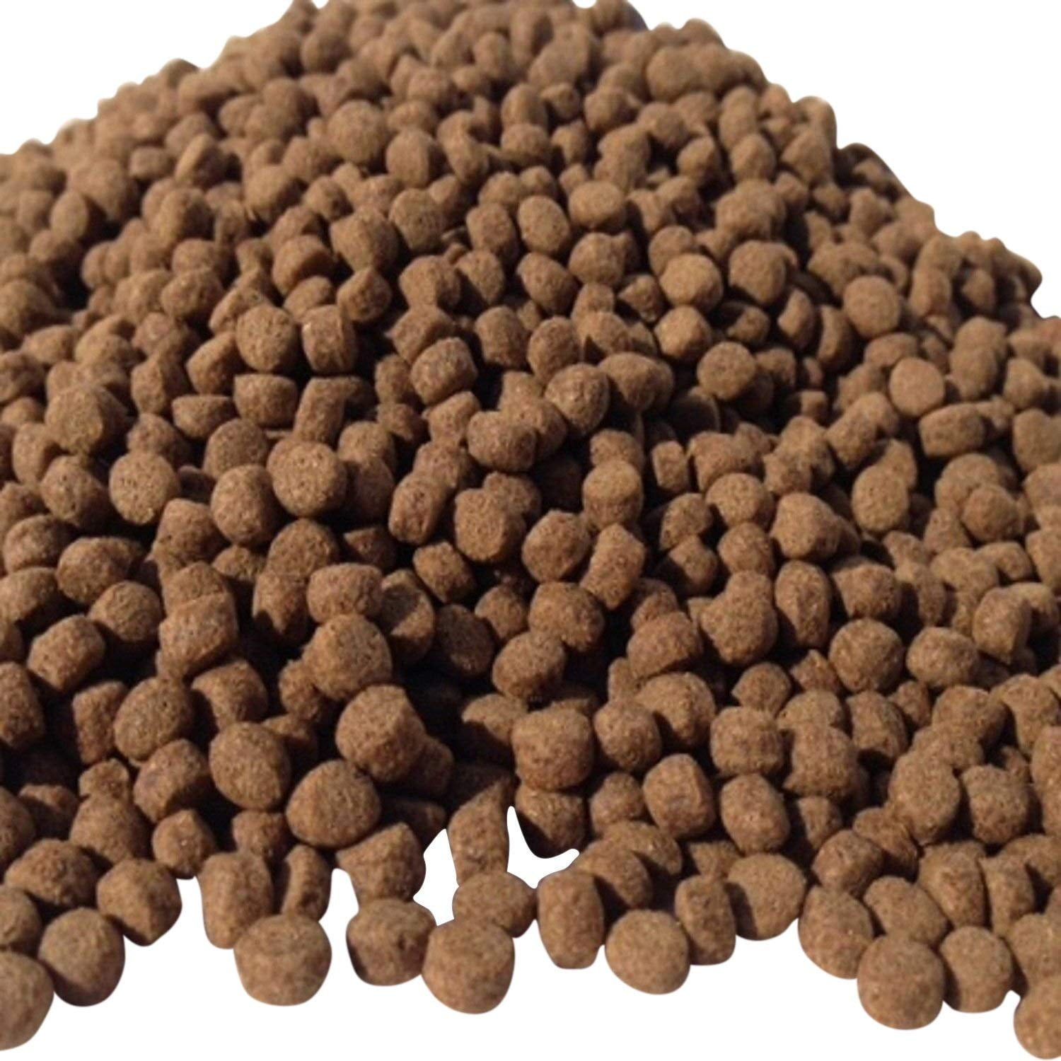 Aquatic Foods 25% Silkworm Koi & Pond Fish 1/4" Floating Pellets for Glossing your Koi's Colors...5-lbs