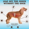 thumbnail image 4 of Jack&Pup Glucosamine Chondroitin for Dogs, Bark Buddies Flex-Agility Joint Supplement, 60ct, 4 of 7