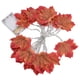thumbnail image 5 of Guirnalda iluminada ANGGREK Cadena de luces de Hojas de Arce 98 pies, 5 of 8