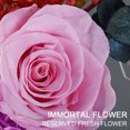 thumbnail image 3 of Real Eternal Flower Wishing Bottle Lamp with Remote Control LED Night Light Gift for Xmas New Year, 3 of 5