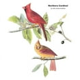 thumbnail image 2 of CafePress - Audubon Northern Cardinal Bird Mug - 11 oz Ceramic Mug - Novelty Coffee Tea Cup, 2 of 4
