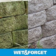 Wet & Forget Laundry Stain Remover Liquid - 1 Gal — Residential Use, Standard Application