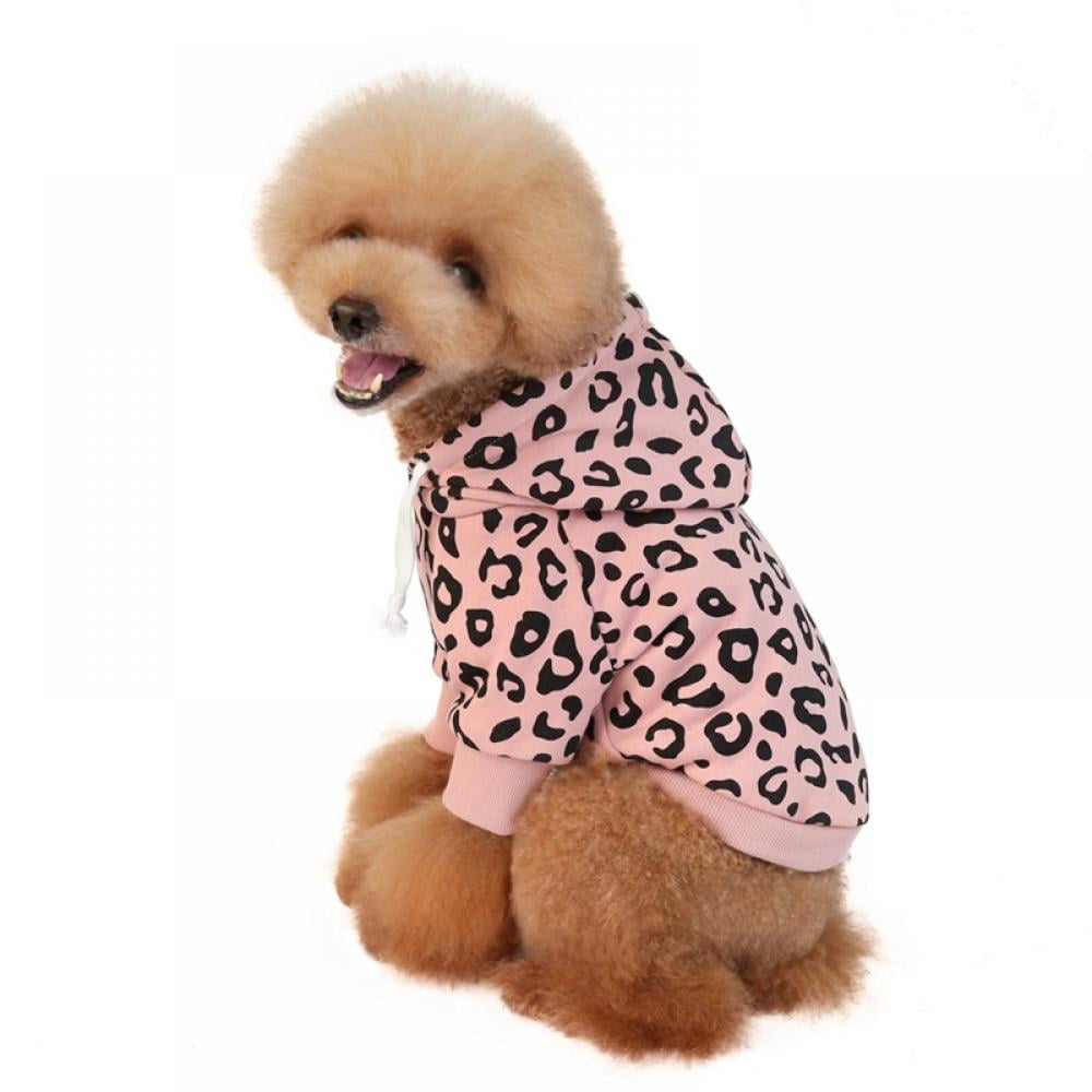 Toy Doggie PR L Print M