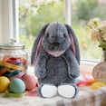 thumbnail image 4 of ToyKingdee Adorable Floppy Ear Bunny Plush with Decorative Bandana, Soft Cuddly Stuffed Animal for Kids and Gifting, 4 of 6