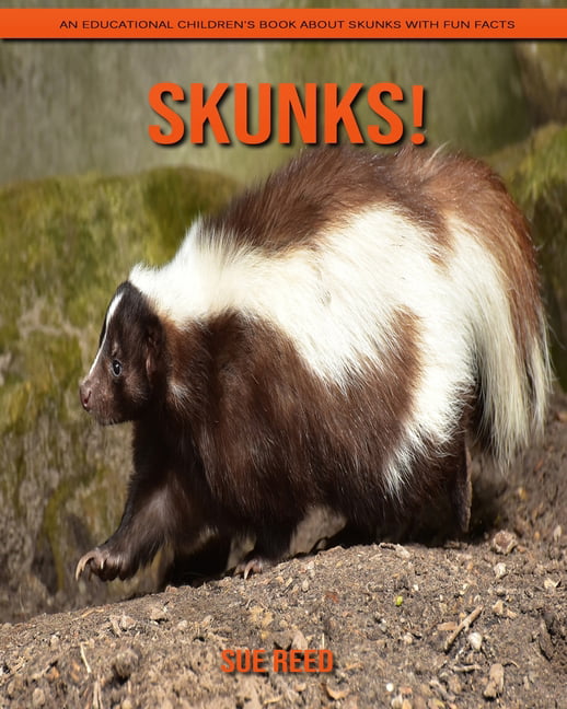 Childrens Book of Amazing Photos and Fun Facts about Skunks Skunks