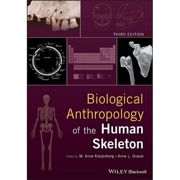 Biological Anthropology of the Human Skeleton, (Hardcover)