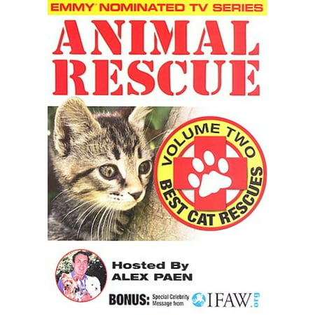 Animal Rescue, Vol. 2: Best Cat Rescues (Best Romantic Pakistani Drama)