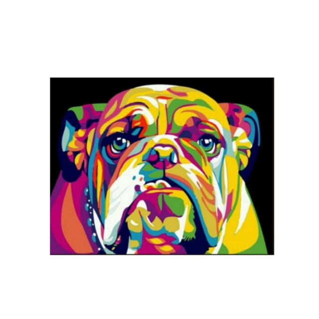 Animal Digital Oil Painting Artwork Frameless DIY Painting Colorful Abstract Wall Decoration Picture VA-0130