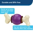 thumbnail image 3 of PetSafe Busy Buddy Bouncy Bone, Treat Holding Dog Toy, Large, Best For Dogs Over 75 Lb., 3 of 8