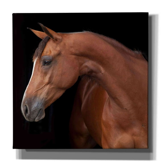 Epic Graffiti 'Jack' by Susan Friedman,, 37"x37"