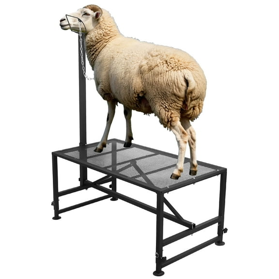 500 LBS Mesh Platform Livestock Trimming Stand, Goat Milking Stand with 20"-34" Height, Adjustable Headpiece Sheep Shearing Stand, for Cow, Pony, Goat
