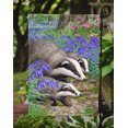 thumbnail image 3 of Carolines Treasures ASA2021GF Badgers Drapeau Jardin Taille, 3 of 3
