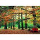 thumbnail image 1 of Diamond Painting (DE1294) 5D Square Rural diy Cross Stitch Decor (YF015) 30x40cm Hugtrwg Para estrenar, 1 of 1