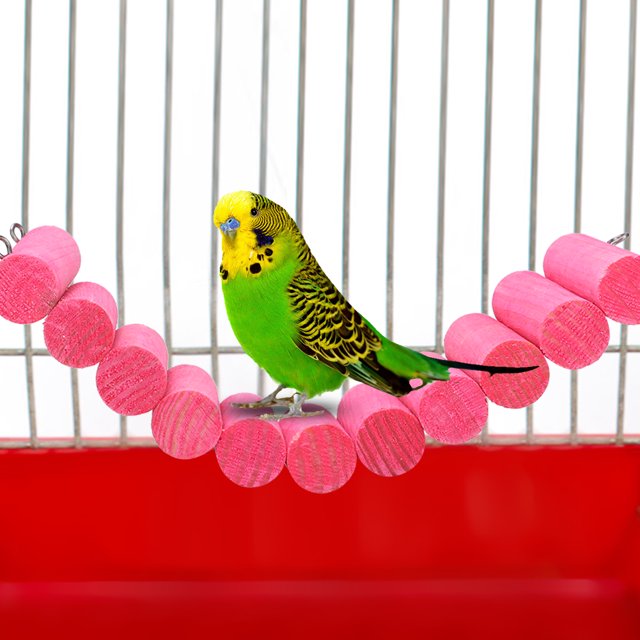 Hamster Swing,Wooden Pet Stand Bracket Parrot Swing Pet Hamster Swing Optimal Efficiency