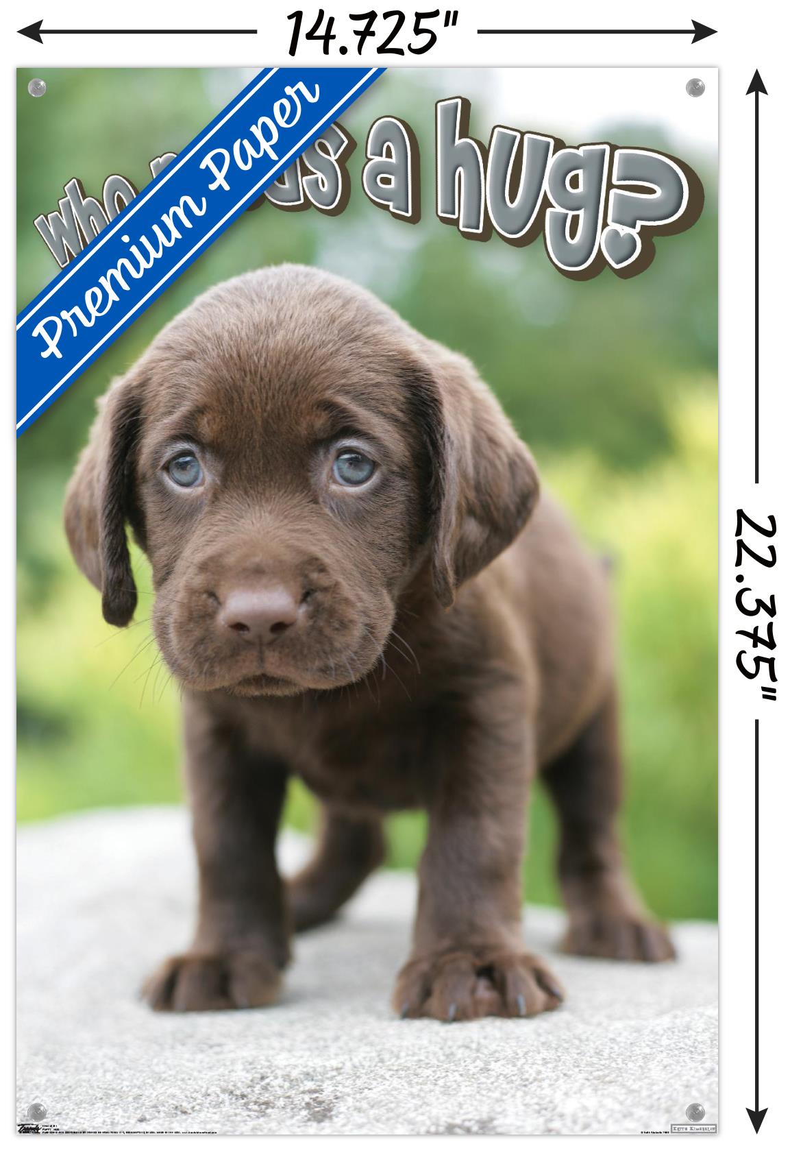 Keith Kimberlin - Puppy - Who Needs a Hug? Wall Poster with Push Pins, 14.725" x 22.375"