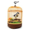 Az Trading & Import Bc507d Singing & Chirping Bird in Cage, Size: 8 Large