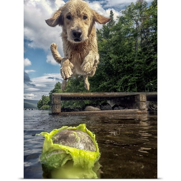 Great BIG Canvas James Betts Poster Print entitled Marley