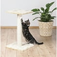 thumbnail image 3 of TRIXIE Espejo 27" Sisal Cat Scratching Post with Plush Platform, Beige, 3 of 5