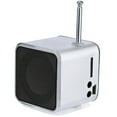 thumbnail image 1 of TD-V26 Mini Portable Sound Speaker TF Card FM Radio AUX Stereo Music Player, 1 of 11