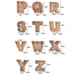 thumbnail image 5 of Alcancía de madera Alfabeto Caja de efectivo Letras Moneda Alcancía Niños Caja de dinero, 5 of 5